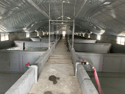 水產養殖與工業污染 數據背后的治水之路