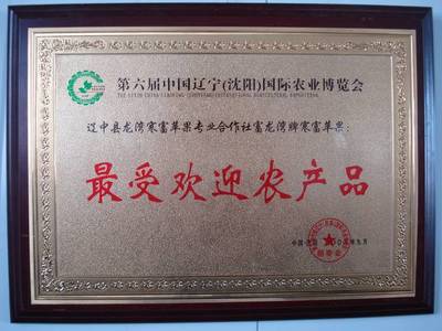 服務(wù)一條龍，無(wú)憂一整年 農(nóng)業(yè)生產(chǎn)全程擁抱“專業(yè)化”運(yùn)營(yíng)商機(jī)